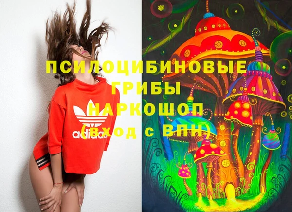 стаф Нея