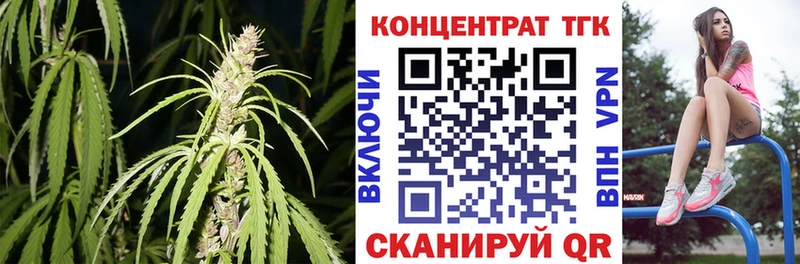 ОМГ ОМГ как войти  продажа наркотиков  Шагонар  Дистиллят ТГК жижа 