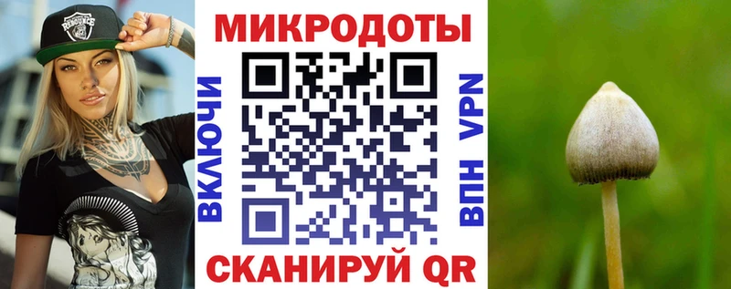 KRAKEN онион  Шагонар  Псилоцибиновые грибы Cubensis 